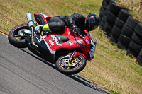 anglesey-no-limits-trackday;anglesey-photographs;anglesey-trackday-photographs;enduro-digital-images;event-digital-images;eventdigitalimages;no-limits-trackdays;peter-wileman-photography;racing-digital-images;trac-mon;trackday-digital-images;trackday-photos;ty-croes